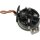 Holder carbon brushes 12 V 64.5 mm HC-Cargo