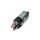 Magnetschalter Starter 24V Ø55,3 mm HC-CARGO IAM-Expertise für MITSUBISHI