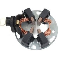 Holder for carbon brushes for starters and alternators 12...