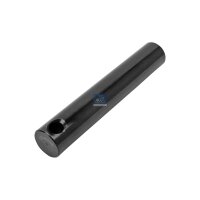 Federbolzen 146 mm DT SPARE PARTS IAM-Expertise passend...