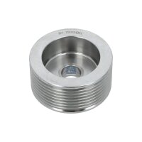 Riemenscheibe Generator Ø 72 mm 8 Rillen DT SPARE...