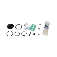 Repair Kit DT SPARE PARTS IAM-Expertise suitable for e.g....