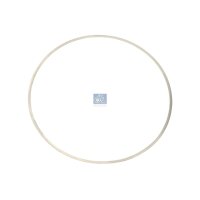 Dichtung Zylinderlaufbuchse Ø 1513 mm 05 mm DT...