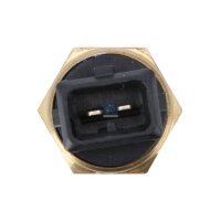 Sensor Außentemperatur DT SPARE PARTS IAM-Expertise...