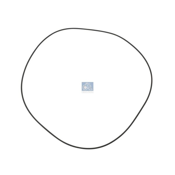 Dichtring Radnabe Ø 249 5 mm 3 mm DT SPARE PARTS für u.a. RENAULT TRUCKS