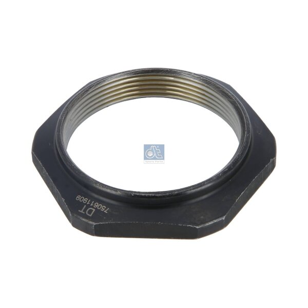 Nut Main Shaft M60 x 2 DT SPARE PARTS IAM-Expertise suitable for e.g. RENAULT