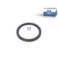 Wellendichtring Differential hinten Ø 145 mm DT...