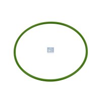 Dichtring Ø 895 mm FPM Fluor-Kautschuk 3 mm DT...