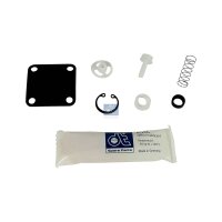 Repair Kit DT SPARE PARTS IAM-Expertise suitable for e.g....