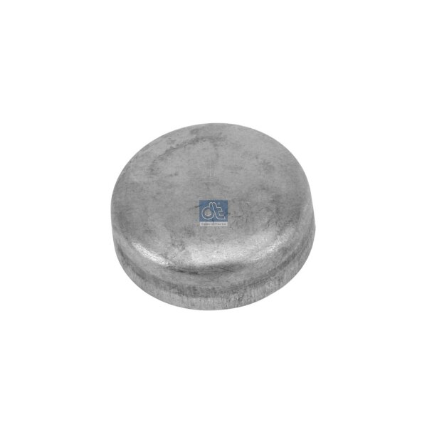 Froststopfen Ø 252 mm DT SPARE PARTS für u.a. MERCEDES-BENZ NG