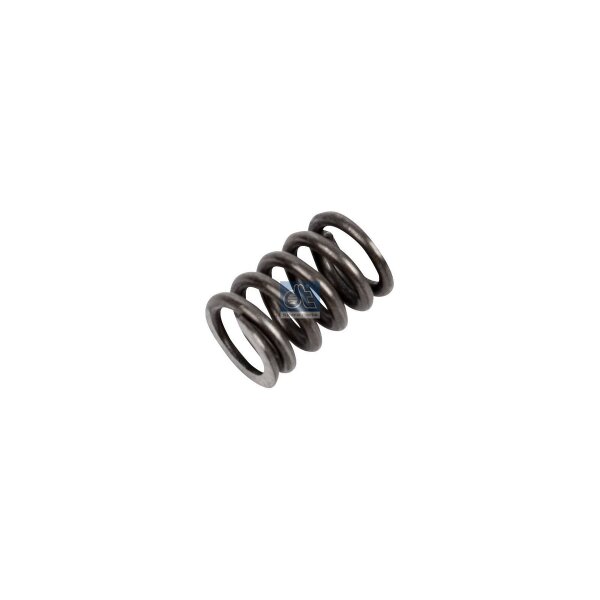 Spring Compression spring 19 mm DT SPARE PARTS IAM-Expertise suitable for DAF