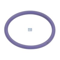 Sealing Ring Ø 342 mm FPM 3 mm DT SPARE PARTS for...