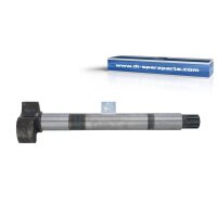 Bremswelle Trommelbremse 10 Zähne 452,5 mm DT SPARE...