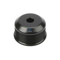 Riemenscheibe Generator Ø 73 mm 8 Rillen DT SPARE...