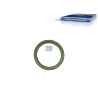 Sealing Ring Ø 153 mm FPM fluorine rubber 24 mm DT...