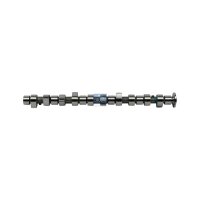 Camshaft DT SPARE PARTS IAM-Expertise suitable for e.g....