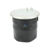Federbalg Luftfederung DT SPARE PARTS IAM-Expertise...