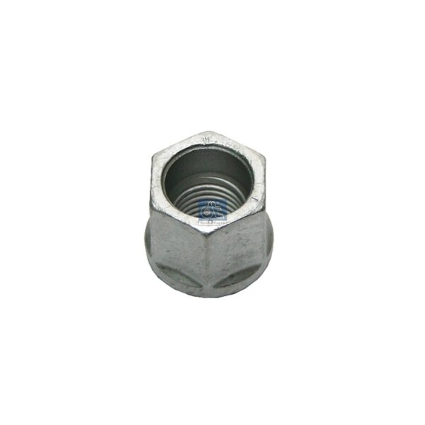 Nut Spring U-Bolt DT SPARE PARTS IAM-Expertise suitable for e.g. SCANIA 4