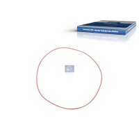 Sealing Ring Wheel Hub Ø 263 5 mm 3 9 mm DT SPARE...