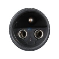 Steuergerät Türbetätigung DT SPARE PARTS...