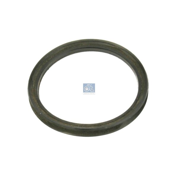 Dichtring Ø 48 mm DT SPARE PARTS IAM-Expertise passend für MERCEDES-BENZ