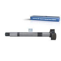 Bremswelle Trommelbremse 10 Zähne 476 mm DT SPARE...