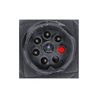 Rückleuchte links DT SPARE PARTS IAM-Expertise...