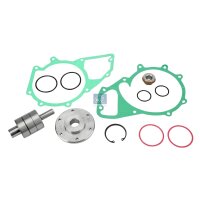Reparatursatz Wasserpumpe DT SPARE PARTS IAM-Expertise...