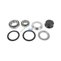 Repair Kit Wheel Hub DT SPARE PARTS IAM-Expertise...