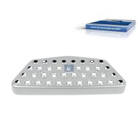 Trittbrett DT SPARE PARTS IAM-Expertise passend für...