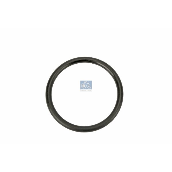 Dichtring Ø 53 mm EPDM 5 mm DT SPARE PARTS passend für u.a. RENAULT