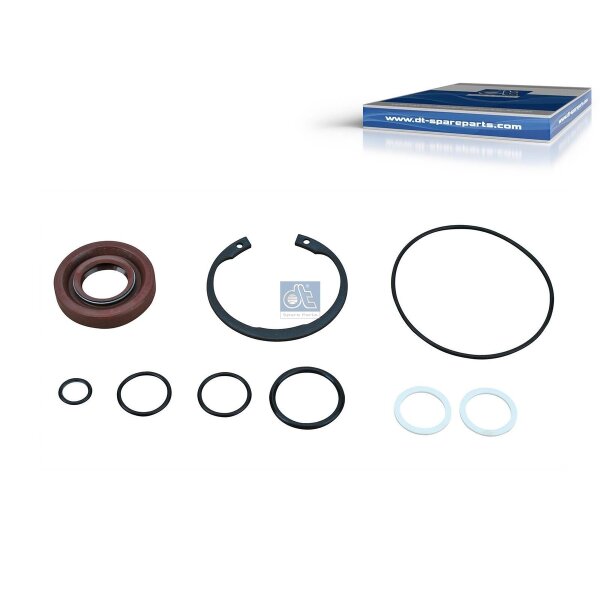 Dichtungssatz Hydraulikpumpe DT SPARE PARTS IAM-Expertise passend für SCANIA