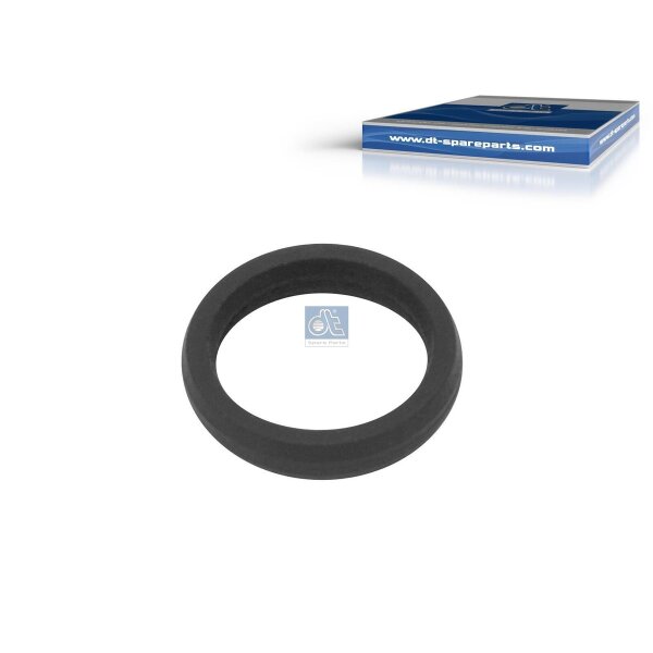 Sealing Ring Ø 18 mm DT SPARE PARTS IAM-Expertise fits VOLVO