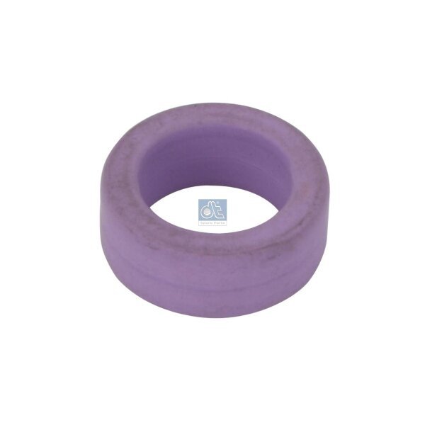 Wellendichtring Antriebswelle Ø 116 - 176 mm DT SPARE PARTS für u.a. VOLVO