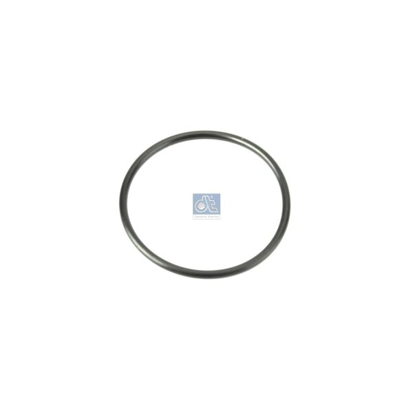 Sealing Ring Ø 251 mm NBR 16 mm DT SPARE PARTS IAM-Expertise suitable for SCANIA