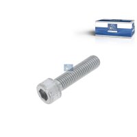 Schraube Achszapfen DT SPARE PARTS IAM-Expertise passend...