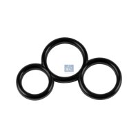 Dichtung Kraftstoffpumpe DT SPARE PARTS passend für...