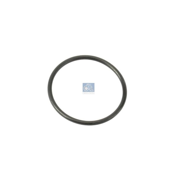 Sealing Ring Ø 22 mm NBR 15 mm DT SPARE PARTS IAM-Expertise suitable for SCANIA