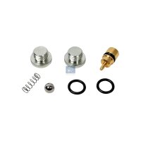 Reparatursatz Kippzylinder DT SPARE PARTS passend...