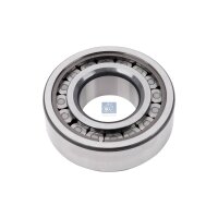 Bearing Ø 45 - 100 mm DT SPARE PARTS...