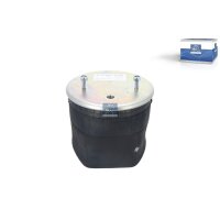 Federbalg Luftfederung DT SPARE PARTS IAM-Expertise...