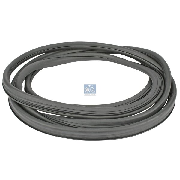 Front windscreen trim/protection strip DT SPARE PARTS IAM-Expertise for SCANIA