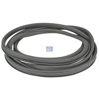 Front windscreen trim/protection strip DT SPARE PARTS...