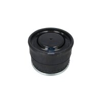 Federbalg Luftfederung DT SPARE PARTS IAM-Expertise passend für u.a. DAF CF