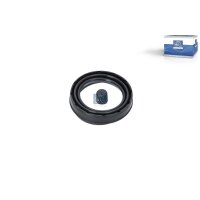 Reparatursatz Bremssattel Hinterachse DT SPARE PARTS...