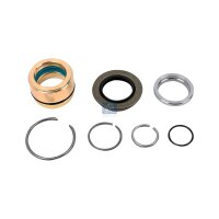 Reparatursatz Kippzylinder DT SPARE PARTS IAM-Expertise...