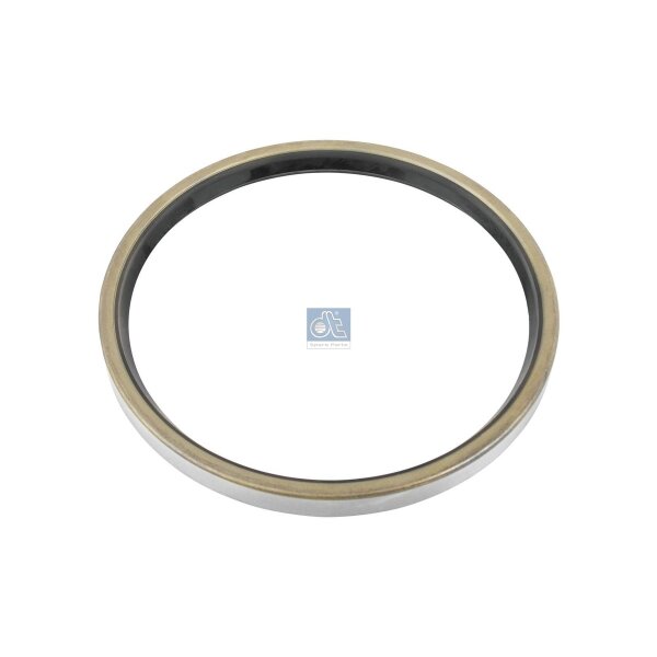 Wellendichtring Radnabe Hinterachse Ø 160 mm DT SPARE PARTS für SAF