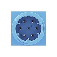 Rückleuchte rechts DT SPARE PARTS IAM-Expertise...