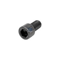Schraube M12 x 1 5 20 mm DT SPARE PARTS IAM-Expertise...