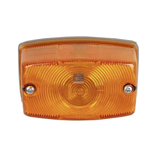 Direction Indicator DT SPARE PARTS IAM-Expertise suitable for e.g. IVECO